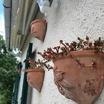 Il Giardino Di Piero - Lt-0029 *