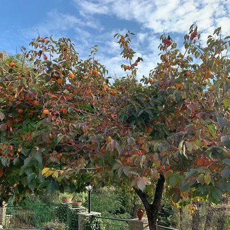 Il Giardino Di Piero - Lt-0029 Nyaraló
