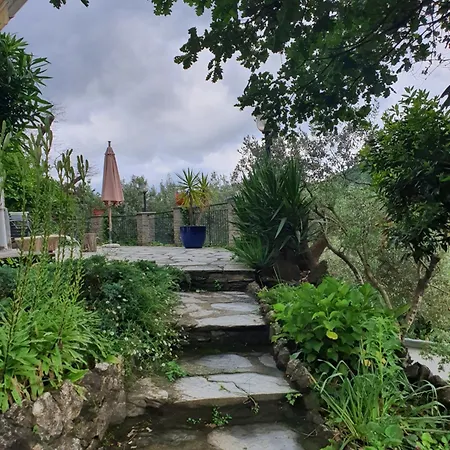Il Giardino Di Piero - Lt-0029 *