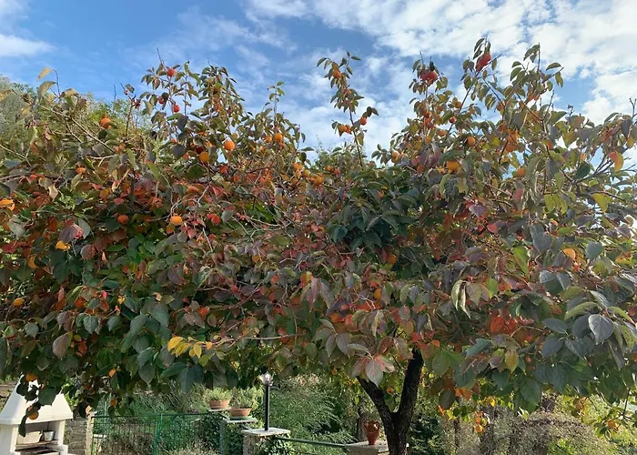 Il Giardino Di Piero - Lt-0029 Σπίτι διακοπών