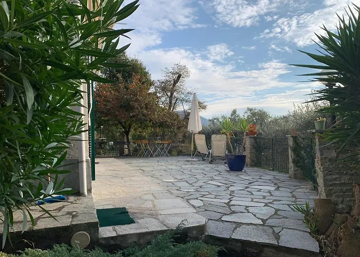Il Giardino Di Piero - Lt-0029