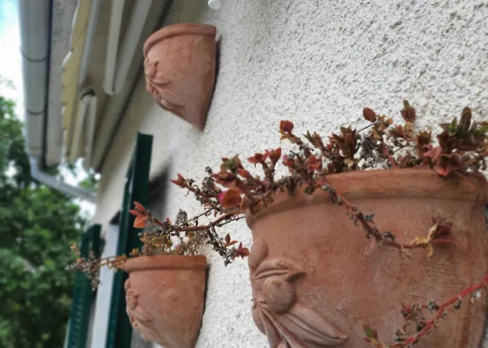Il Giardino Di Piero - Lt-0029 *