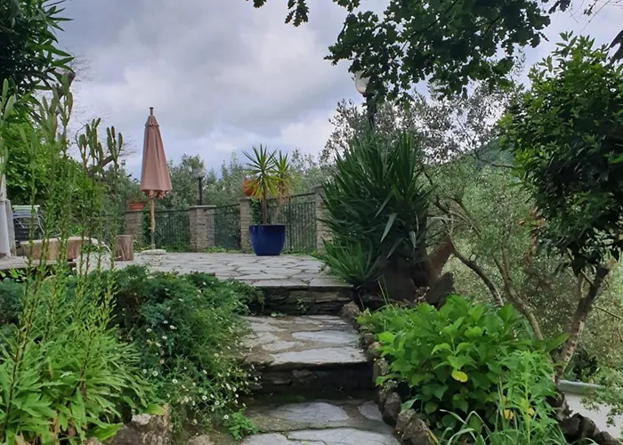 Il Giardino Di Piero - Lt-0029 *