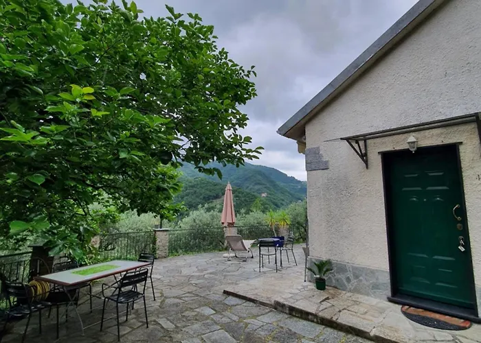 Il Giardino Di Piero - Lt-0029