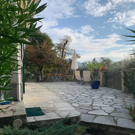 Il Giardino Di Piero - Lt-0029