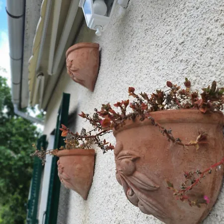 Il Giardino Di Piero - Lt-0029 *