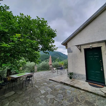 Il Giardino Di Piero - Lt-0029