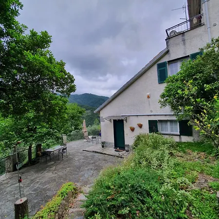 Il Giardino Di Piero - Lt-0029