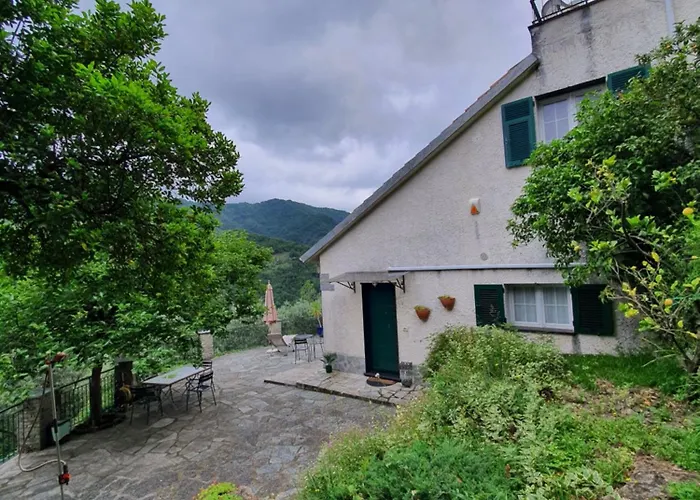 Il Giardino Di Piero - Lt-0029